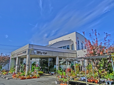 山形県山形市の花屋 アキバ園にフラワーギフトはお任せください 当店は 安心と信頼の花キューピット加盟店です 花キューピットタウン